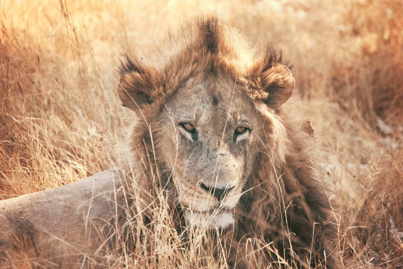 Weathy - Landing Page